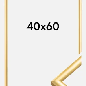 Acheter Direct Fotolijst Trendstyle Glas Goud 40x60 cm