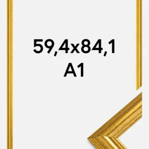 Solde Fotolijst Västkusten Glas Goud 59,4x84,1 cm (A1)