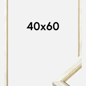 Promotion Fotolijst Marisa Zilver 40x60 cm