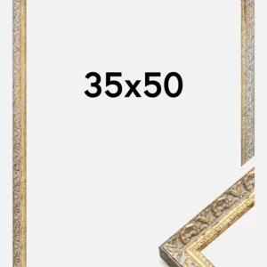Fotolijst Smith Glas Goud-zilver 35x50 cm Prix Choc