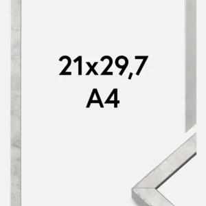 Fotolijst Ares Zilver 21x29,7 cm (A4) Quantité Limitée