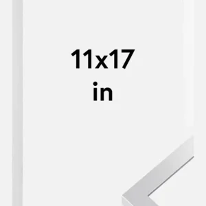 Super Prix Fotolijst Selection Zilver 11x17 Inches (27,94x43,18 cm)
