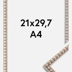 Acheter En Ligne Fotolijst Sylvia Glas Zilver 21x29,7 cm (A4)