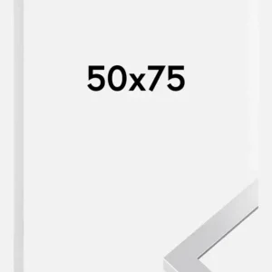 Retour Gratuit Fotolijst Selection Zilver 50x75 cm