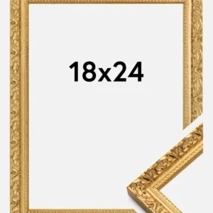 Usine Directe Fotolijst Smith Glas Goud 18x24 cm