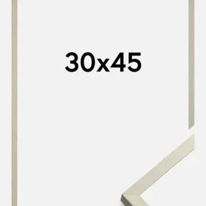 Promotion Fotolijst Chair Glas Staal 30x45 cm