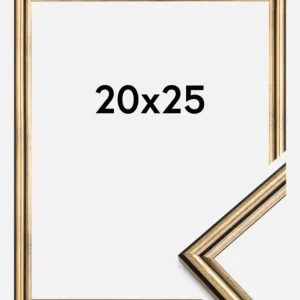 Achetez Aujourd’hui Fotolijst Horndal Glas Goud 20x25 cm