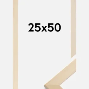 Remise Fotolijst Trendline Glas Nature 25x50 cm