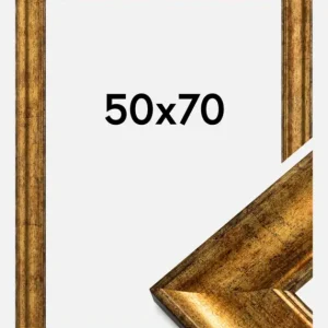 Bon Marché Fotolijst Saltsjöbaden Goud 50x70 cm
