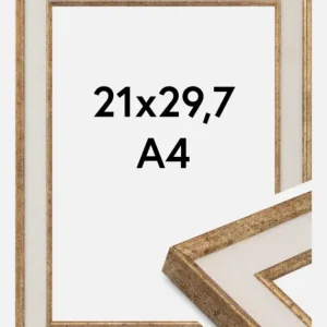 Expédition Rapide Fotolijst Dolly Goud 21x29,7 cm (A4)