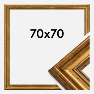Soldes Fotolijst Rokoko Goud 70x70 cm