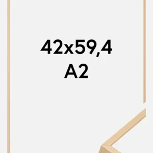 Aluminium Fotolijst Messing 42x59,4 cm (A2) Quantité Limitée