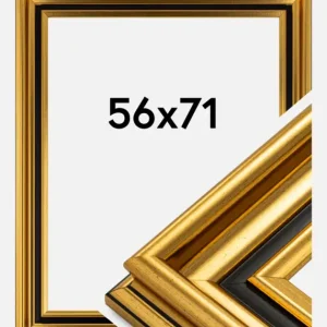 Fotolijst Gysinge Premium Glas Goud 56x71 cm Remise