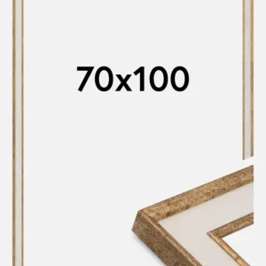 Bon Plan Fotolijst Dolly Goud 70x100 cm