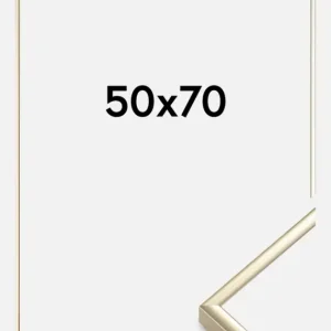 Soldes Fotolijst Aluminium Glanzend Goud 50x70 cm