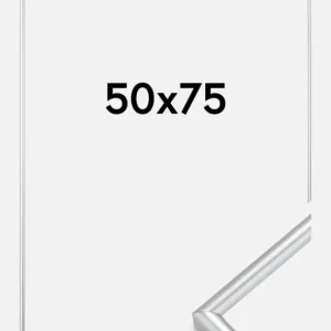 Commande En Gros Fotolijst Galeria Glas Zilver 50x75 cm