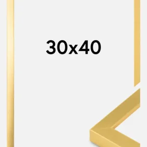 Petit Prix Fotolijsten Goud Breed 30 x 40 cm