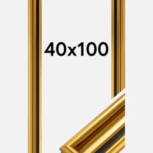 Fotolijst Gysinge Premium Glas Goud 40x100 cm Prix Réduit