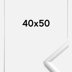 Meilleur Prix Fotolijst New Lifestyle Zilver 40x50 cm
