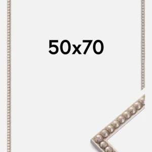 Pas Cher Fotolijst Sylvia Glas Zilver 50x70 cm