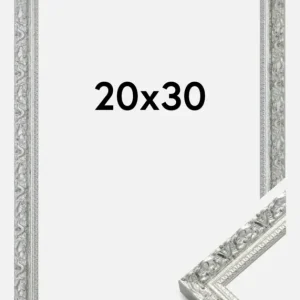 Meilleur Prix Fotolijst Smith Glas Zilver 20x30 cm