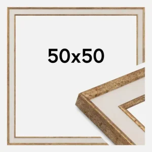 Dernier Modèle Fotolijst Dolly Goud 50x50 cm