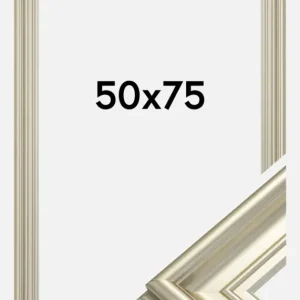 Must-Have Fotolijst Mora Premium Glas Zilver 50x75 cm