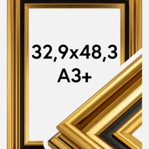 Expédition Rapide Fotolijst Gysinge Premium Glas Goud 32,9x48,3 cm (A3+)
