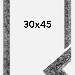 Achat Immédiat Fotolijst Ralph Glas Zilver 30x45 cm