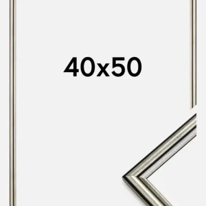Acheter Direct Fotolijst Horndal Glas Zilver 40x50 cm