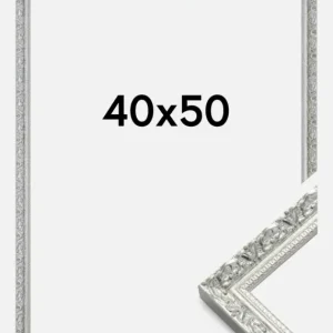 Fotolijst Smith Glas Zilver 40x50 cm Livraison Gratuite