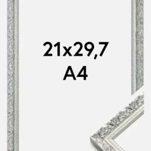 Usine Directe Fotolijst Smith Glas Zilver 21x29,7 cm (A4)