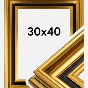 Top Vente Fotolijst Gysinge Premium Glas Goud 30x40 cm