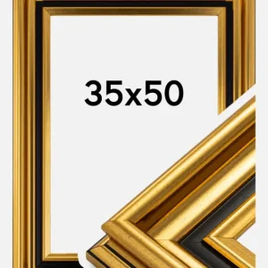 Fotolijst Gysinge Premium Glas Goud 35x50 cm Prix Choc