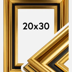 Vente Directe Fotolijst Gysinge Premium Glas Goud 20x30 cm