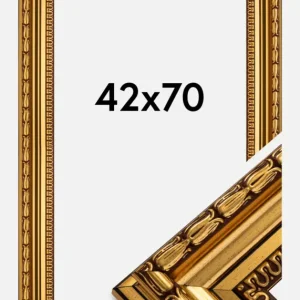 Retour Gratuit Fotolijst Birka Premium Glas Goud 42x70 cm