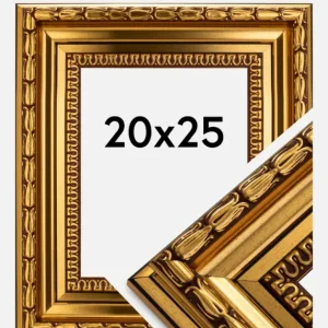 Meilleur Prix Fotolijst Birka Premium Glas Goud 20x25 cm