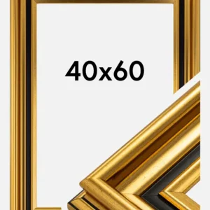 Prix Choc Fotolijst Gysinge Premium Glas Goud 40x60 cm
