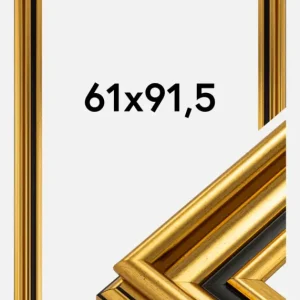 Fotolijst Gysinge Premium Glas Goud 61x91,5 cm Seulement Aujourd’hui