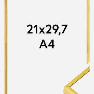 Aluminium Fotolijst Goud 21x29,7 cm (A4) Prix Choc