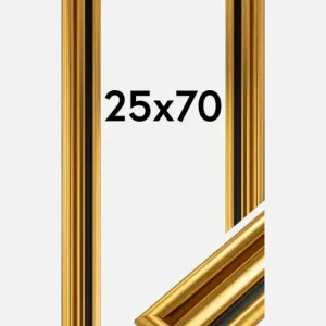 Super Prix Fotolijst Gysinge Premium Glas Goud 25x70 cm