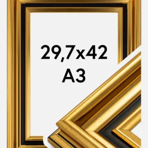 Fotolijst Gysinge Premium Glas Goud 29,7x42 cm (A3) Certifié