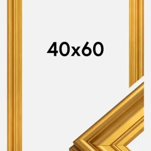 Usine Directe Fotolijst Mora Premium Glas Goud 40x60 cm