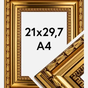 Fotolijst Birka Premium Glas Goud 21x29,7 cm (A4) Vente Flash