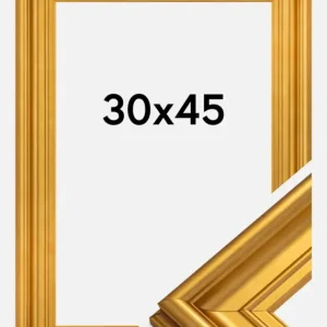 Acheter Direct Fotolijst Mora Premium Glas Goud 30x45 cm
