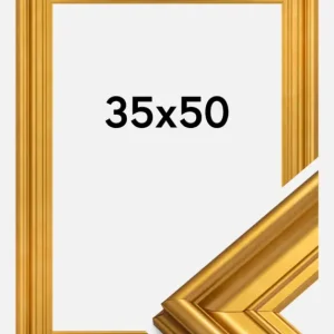 Fotolijst Mora Premium Glas Goud 35x50 cm Achetez Aujourd’hui