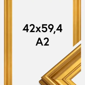 Nouvel Arrivage Fotolijst Mora Premium Glas Goud 42x59,4 cm (A2)