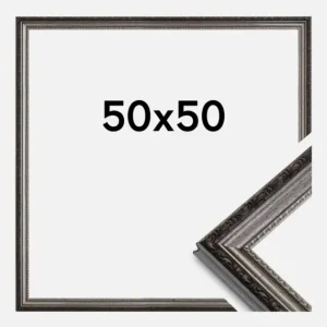 Acheter Direct Fotolijst Abisko Zilver 50x50 cm