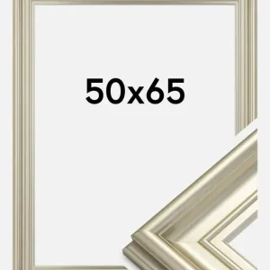 Acheter En Ligne Fotolijst Mora Premium Glas Zilver 50x65 cm