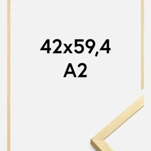 Acheter Direct Fotolijst Chair Glas Goud 42x59,4 cm (A2)